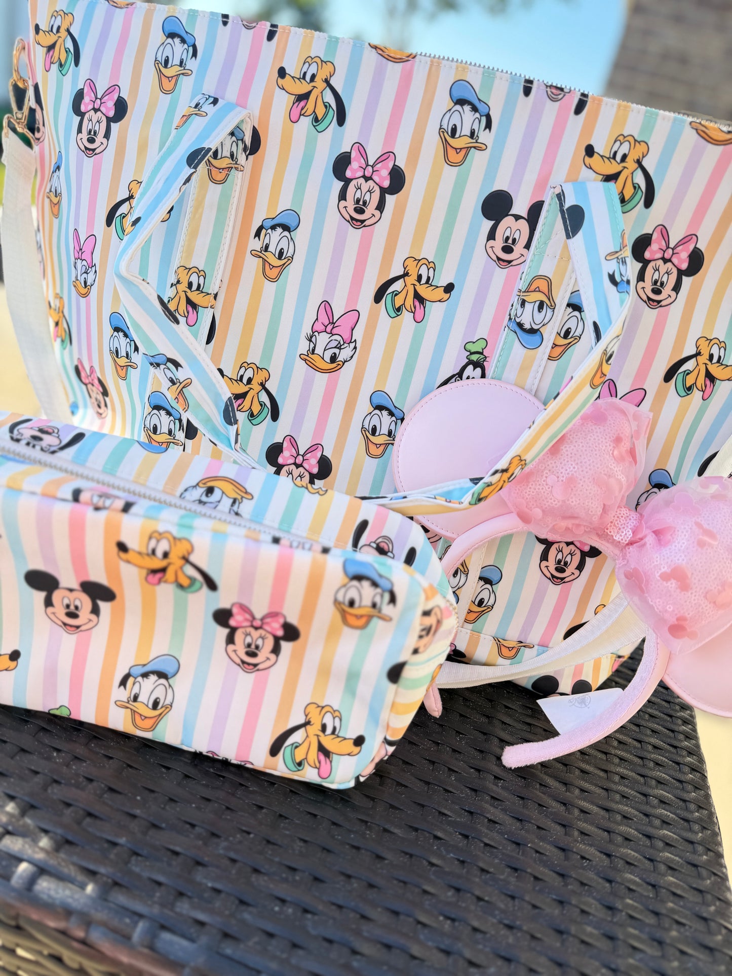 READY TO SHIP Nylon Zippered Bag - Rainbow Besties