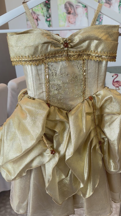 CONSIGNMENT ITEM: Custom Belle Dress (EUC) SIZE 3- flexible sizing